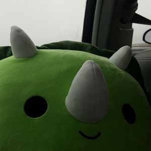 Meet your Posher, Cristina